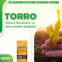 Torro